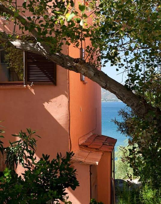 Apartamento Casa Marine Du Soleil 60 Patrimonio Exterior foto